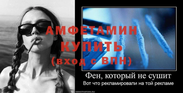 индика Балахна
