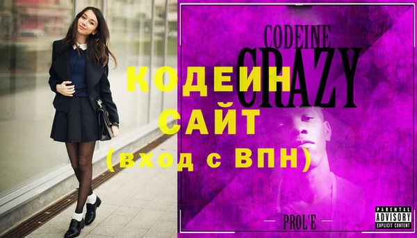 индика Балахна