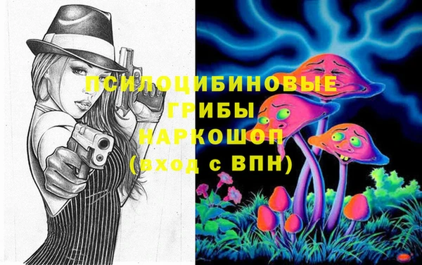 индика Балахна
