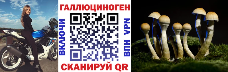 Галлюциногенные грибы ЛСД  Кущёвская 